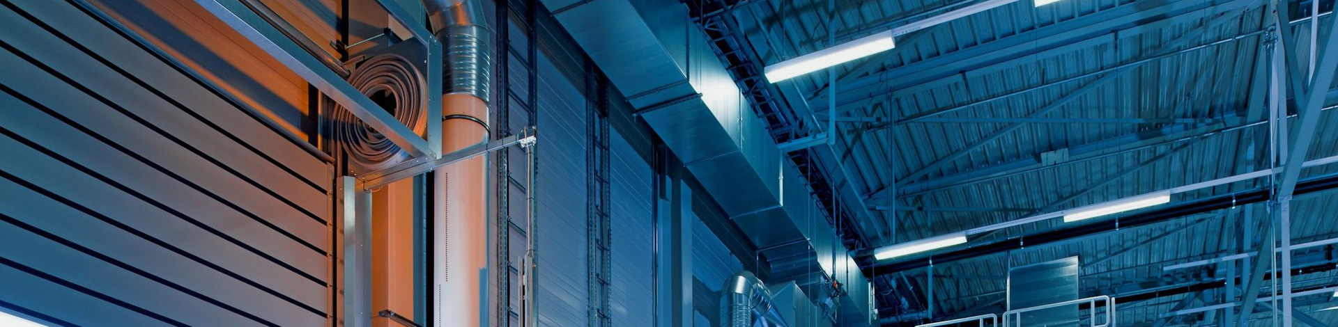 7月限定奇观：高山金莲"地毯式"绽放 每年7月初至中旬